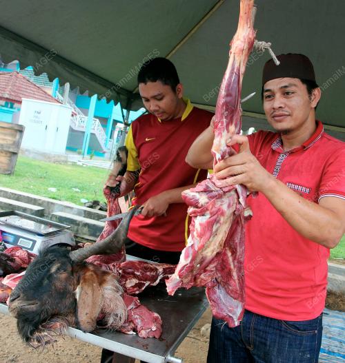 PH09_04062019_KAMBING