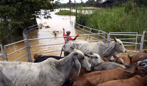 PH09_05012018_BANJIR