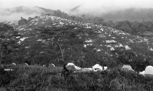 HARI CHING MING