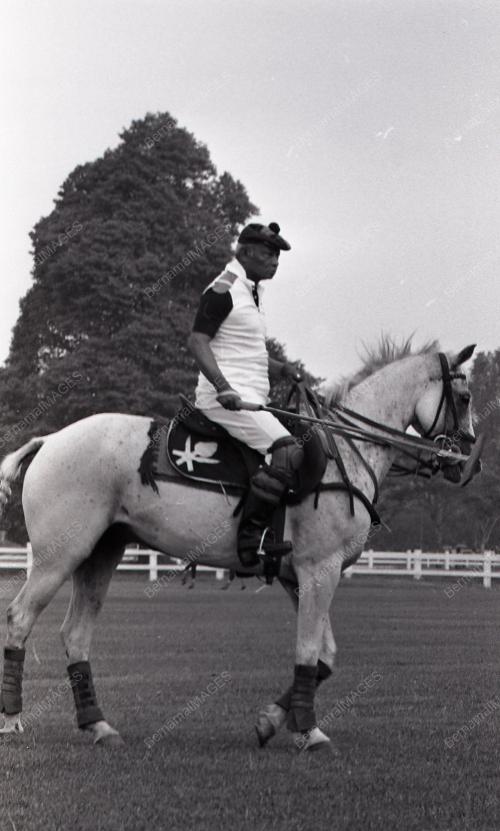 PERTANDINGAN POLO