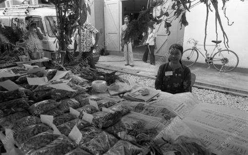 PH09_09032015_PAMERAN_PERUBATAN