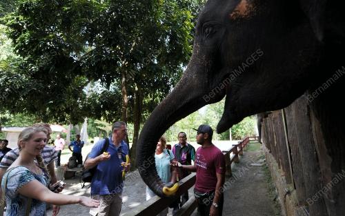 PH09_10082017_GAJAH