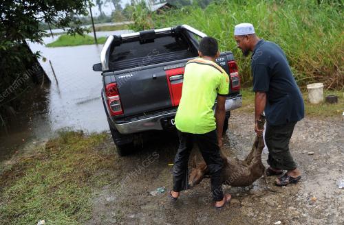 PH09_11012018_BANJIR