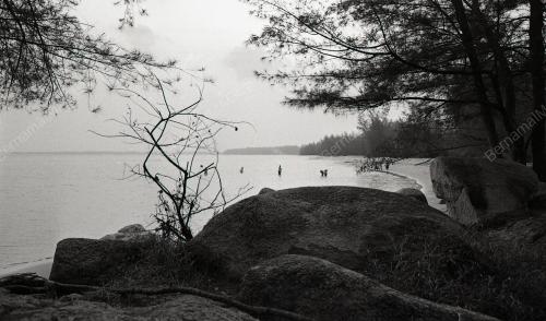 PH09_12012015_PANTAI_TERUNTUM