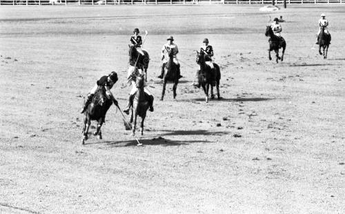PH09_14072015_POLO