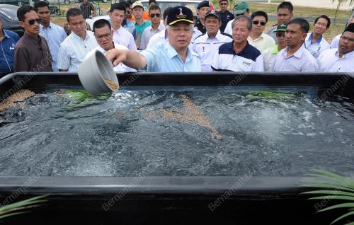 PH09_15012012_PM_KOMUNITI