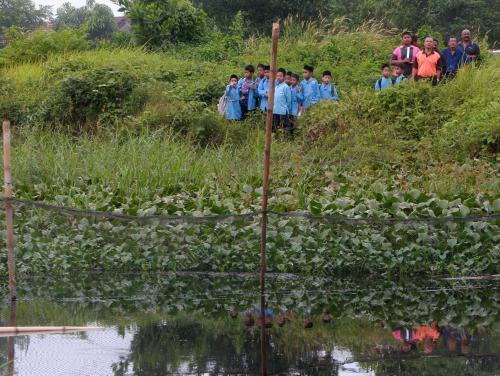 PH09_17012011_BUAYA