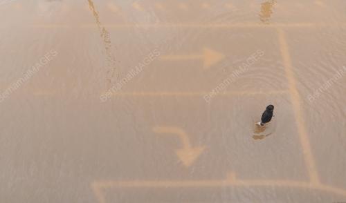 PH09_18112014_BANJIR