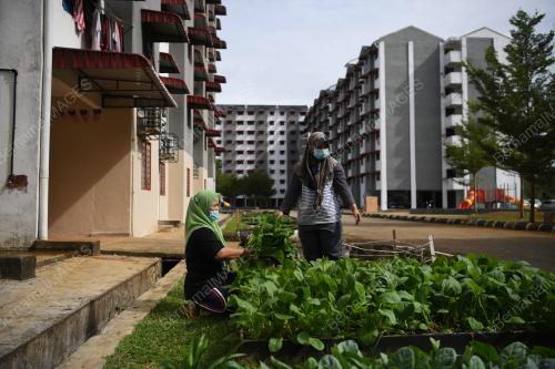 KEBUN KOMUNITI PPRS PINGGIRAN PUTRA