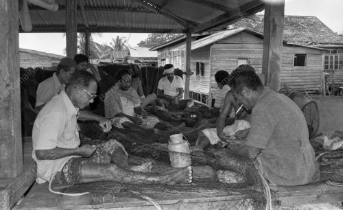 PH09_24022015_RUMAH_TERBIAR