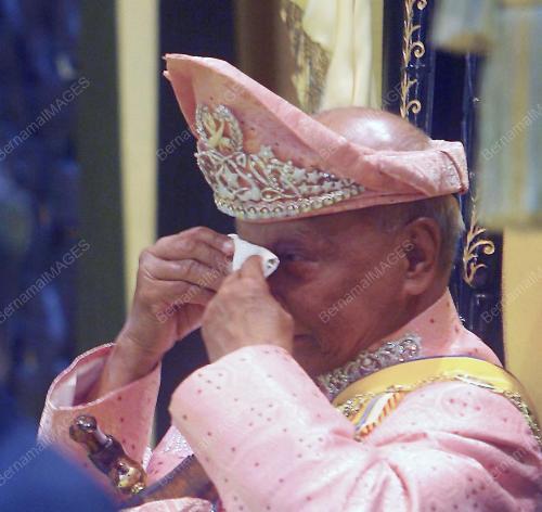 SULTAN AHMAD SHAH