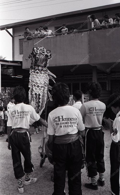 TAHUN BARU CINA