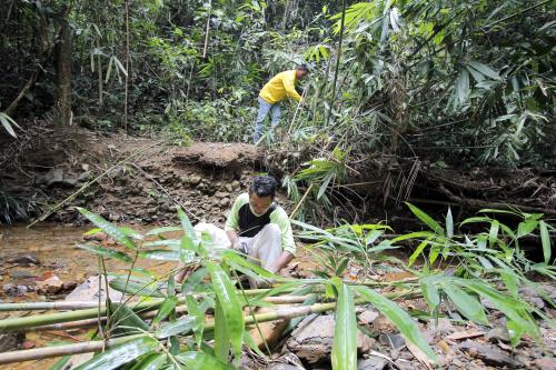 PH10_01082013_BULUH_LEMANG