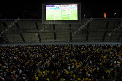 PH10_01112014_BOLA