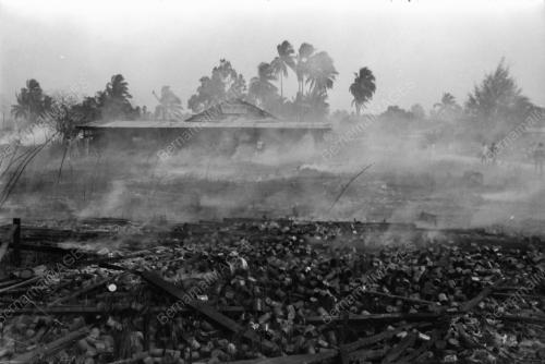 Kebakaran lalang