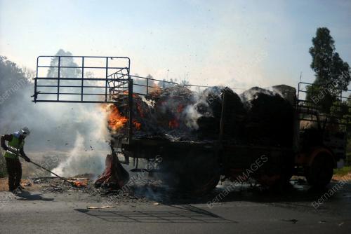 LORI TERBAKAR