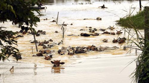 PH10_05012018_BANJIR