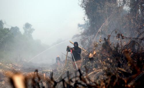 KEBAKARAN HUTAN