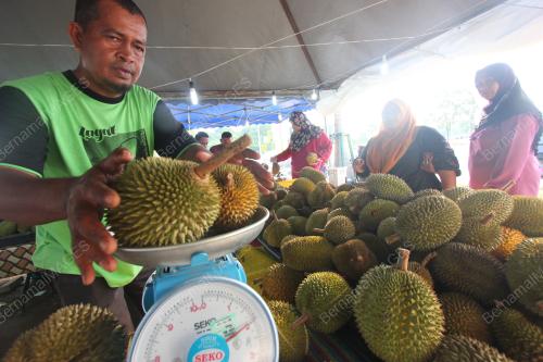 PH10_05072018_DURIAN