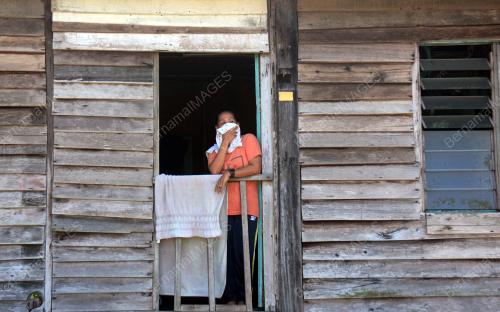 ORANG ASLI