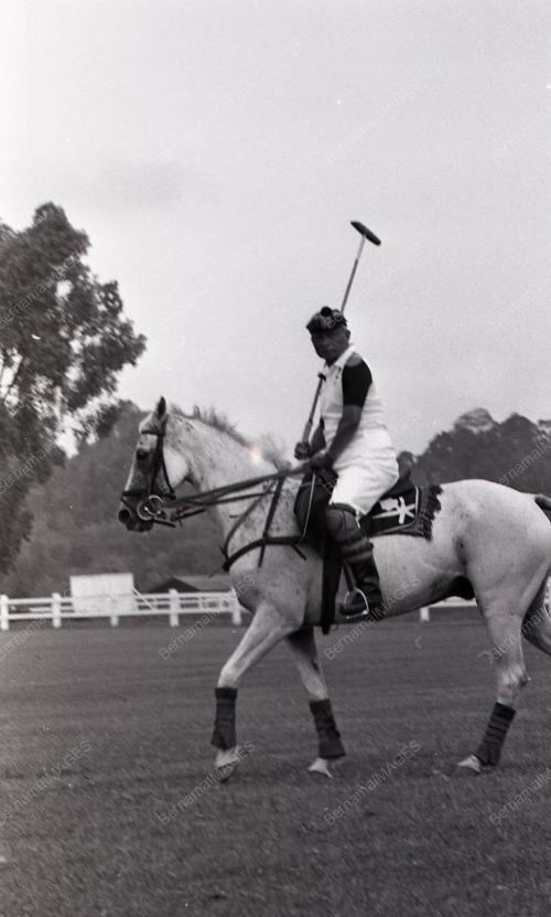 PERTANDINGAN POLO