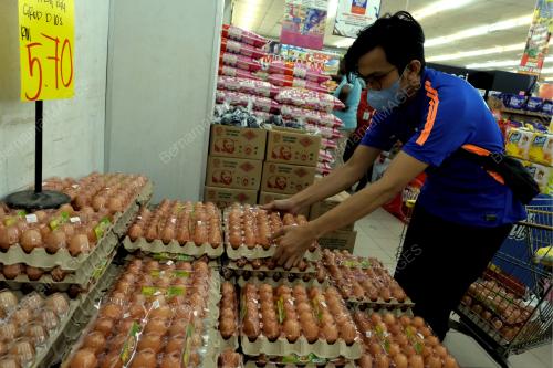 TELUR_AYAM