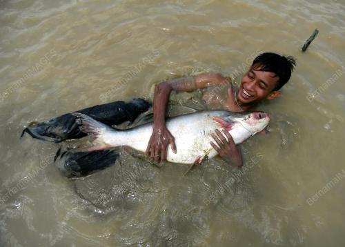 PESTA MENJALA IKAN