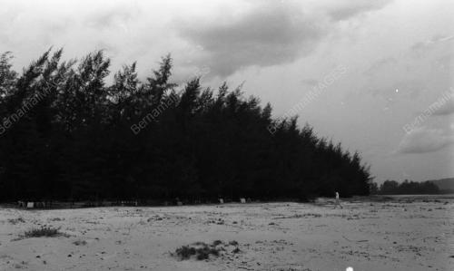 PH10_10081984_PANTAI