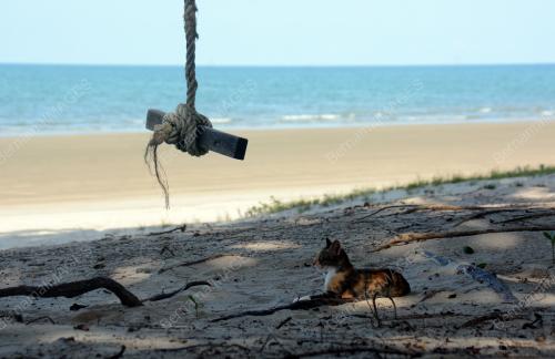 PANTAI SEPAT SEMASA PKPB