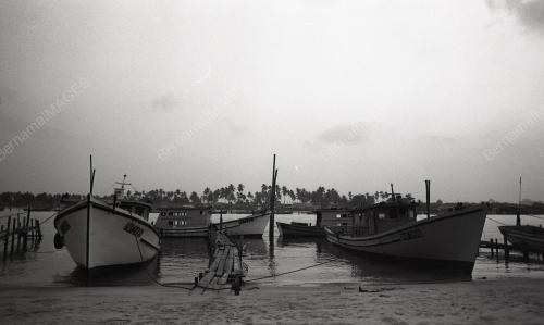 PH10_12012015_KAMPUNG_NELAYAN