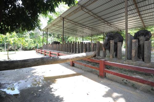 PH10_12052017_BANJIR