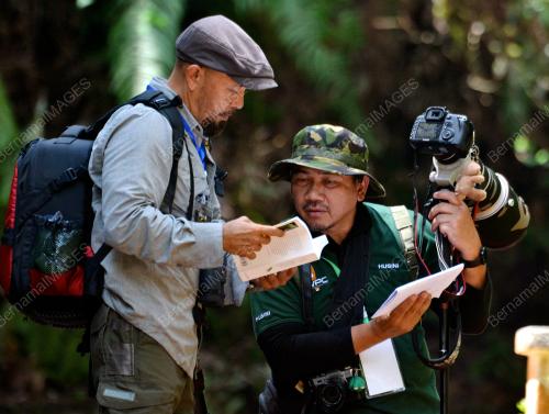 PH10_14052016_MENGENAL_BURUNG_1
