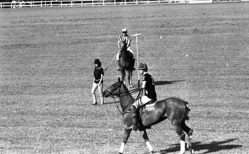 PH10_14072015_POLO