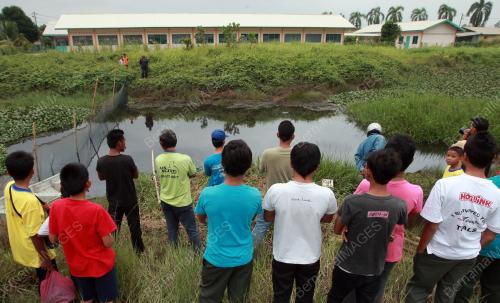 PH10_17012011_BUAYA