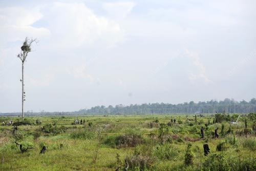 PH10_17052016_PESAWAT