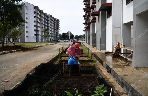 KEBUN KOMUNITI PPRS PINGGIRAN PUTRA