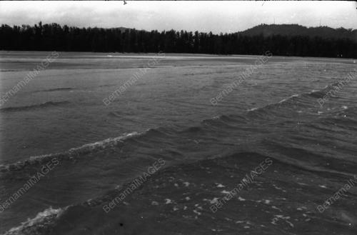 HAKISAN PANTAI