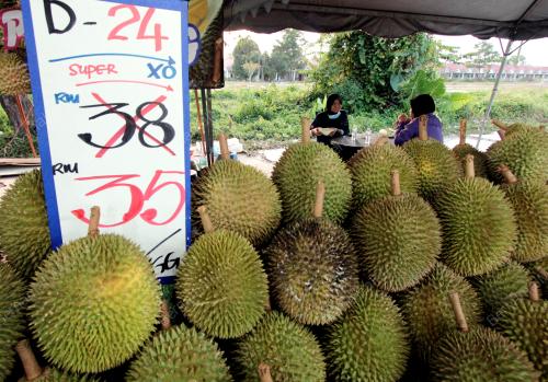PENJAJA DURIAN MASA PKPB