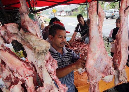 PH11_04102014_DAGING