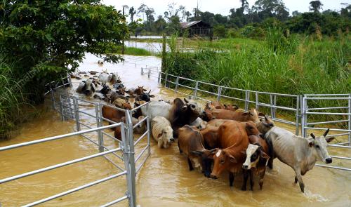 PH11_05012018_BANJIR
