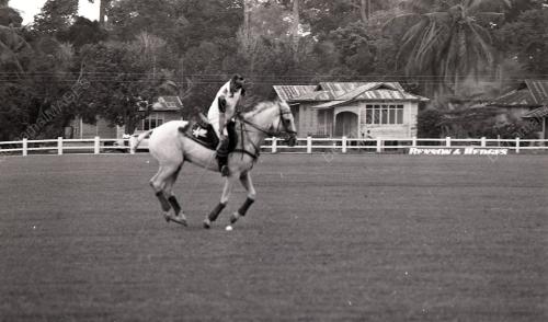 PERTANDINGAN POLO