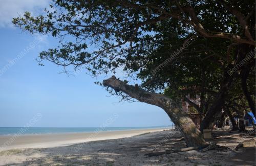 PANTAI SEPAT SEMASA PKPB