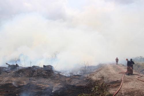 PH11_12022014_TERBAKAR