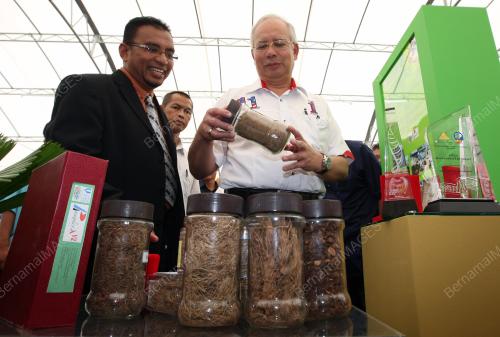 MOHD NAJIB TUN ABDUL RAZAK