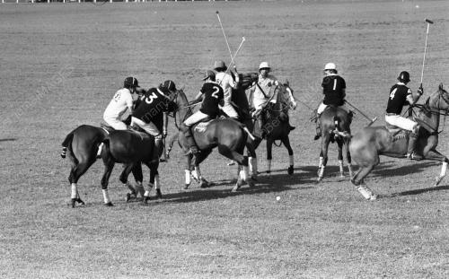 PH11_14072015_POLO