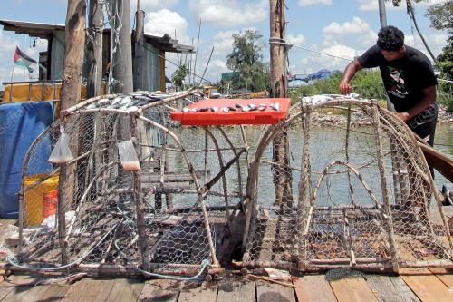 MENJEMUR IKAN KETIKA CUACA PANAS