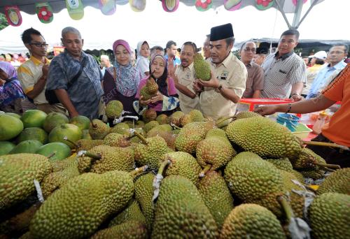 PH11_15112013_PELADANGAN