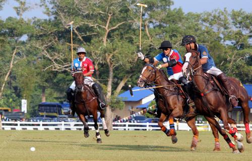 POLO