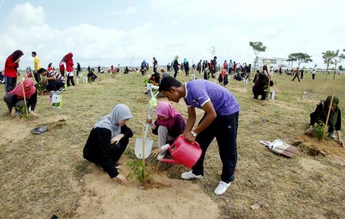 PH11_21032013_POKOK