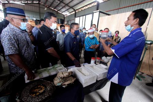 DATUK SERI DR ISMAIL MOHAMED SAID
